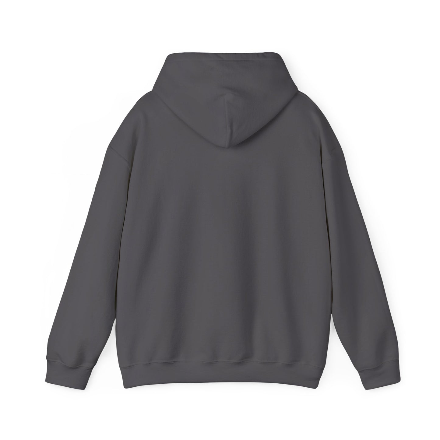 Hope & A Future Unisex Hooded Sweatshirt - Cozy and Inspirational