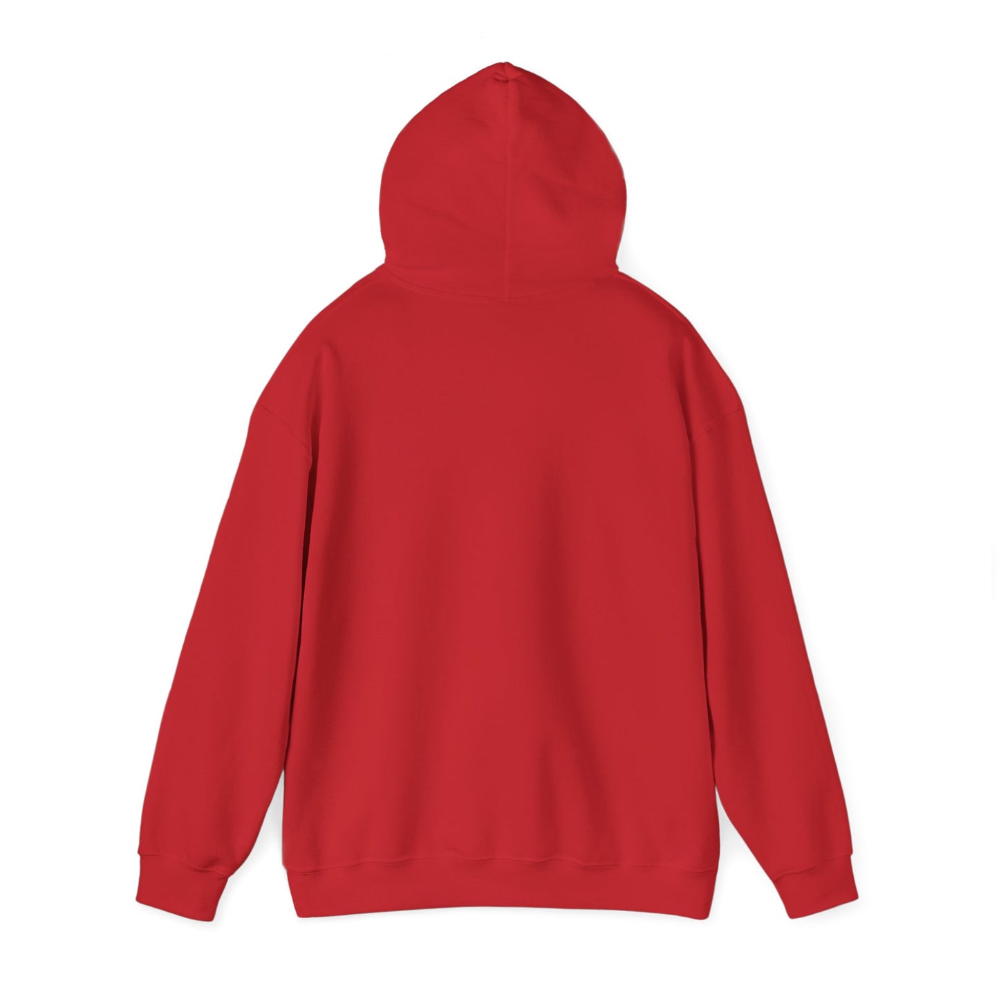 Hope & A Future Unisex Hooded Sweatshirt - Cozy and Inspirational