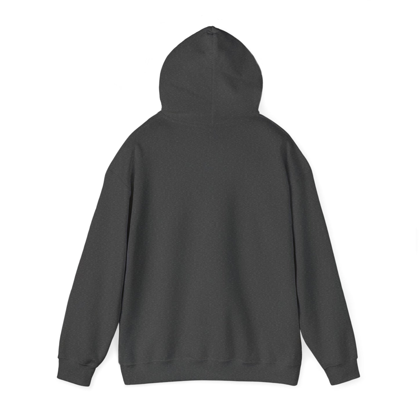 Hope & A Future Unisex Hooded Sweatshirt - Cozy and Inspirational