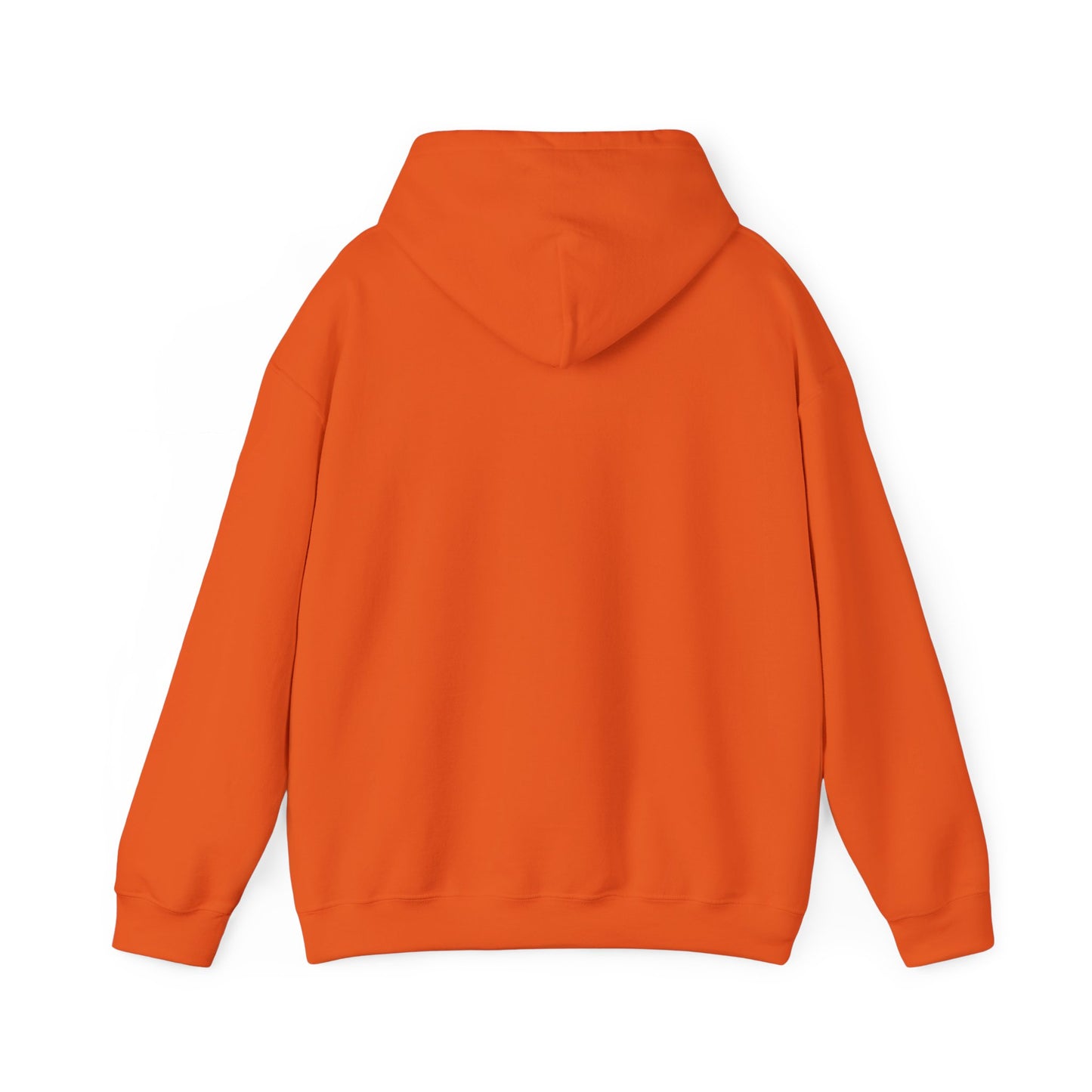 Hope & A Future Unisex Hooded Sweatshirt - Cozy and Inspirational
