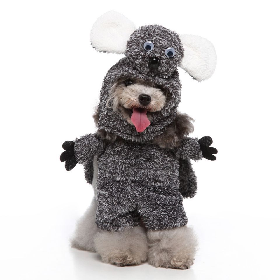 European And American Pet Products Clothing/Costume